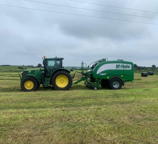 Recent dry spell sees some farmers secure early fodder