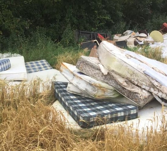 Dumping problem attracting 'a mountain of rats'