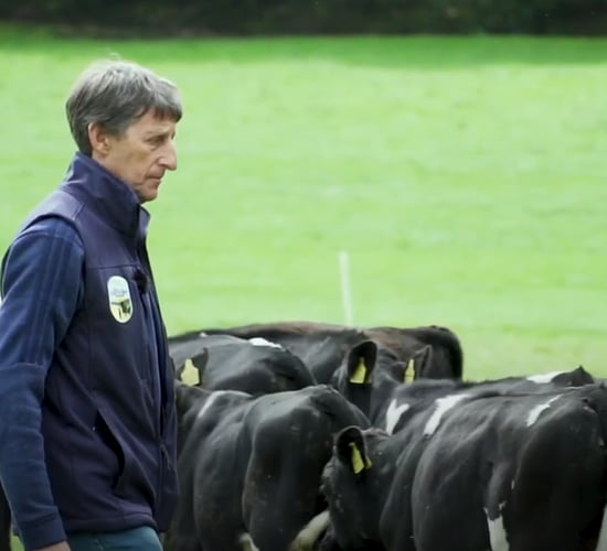 Virtual Farm Walk: Chasing heavier carcasses in Co. Roscommon