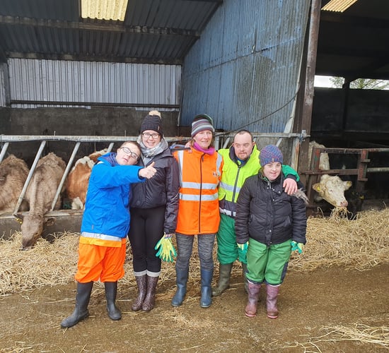 Healthy Ireland involvement in social farming highlighted