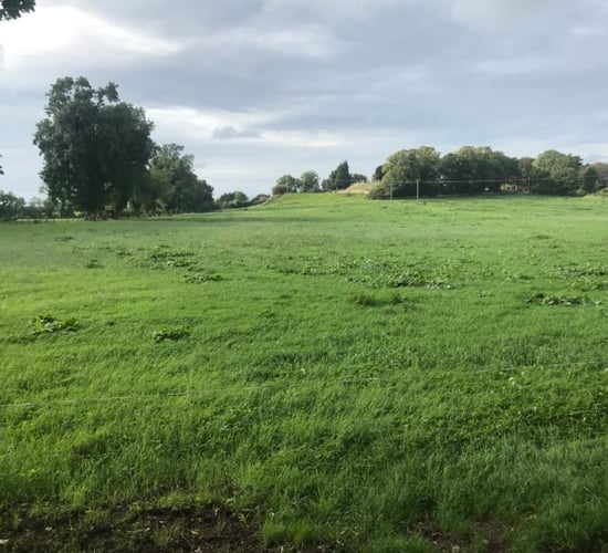 GrowthWatch: Aim to maximise the use of autumn grass