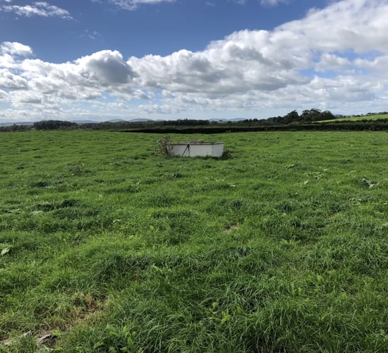Grassland management: Turning attentions back to building covers