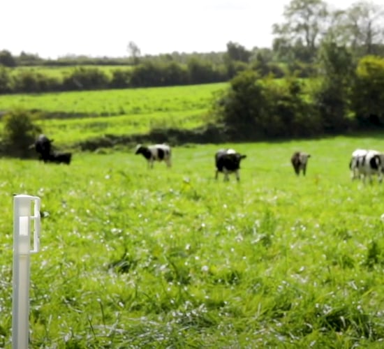 GrowthWatch: Preparations for spring grassland management begin now