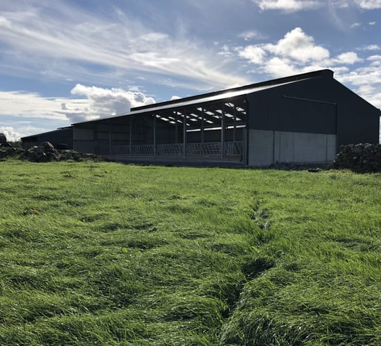 Buildings Focus: 6-bay slatted unit with a lieback area and crush in Co. Mayo