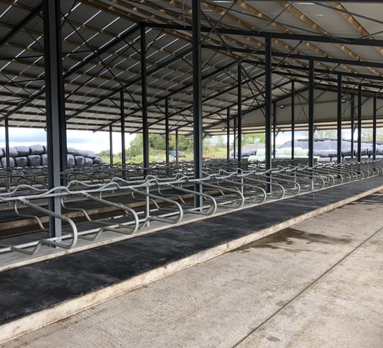 Buildings Focus: 'Biting the bullet' by building a 150-cubicle shed in Co. Offaly