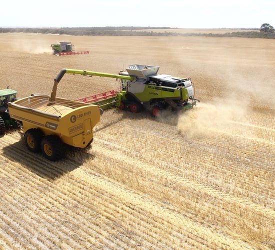 Cork to Oz during the pandemic: 'Harvest 2020 better be worth it'