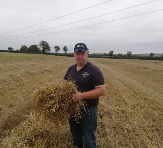 Food Vision Tillage Group unlikely to meet before May