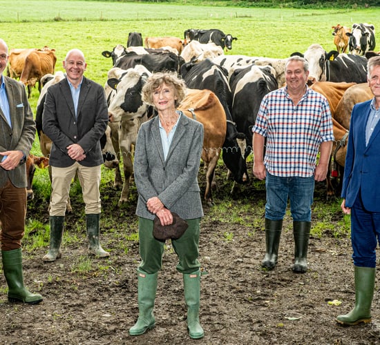 Clandeboye Estate launches £2 million expansion to quadruple production