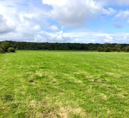 14.5ac agricultural land in Co. Laois 'suitable for a wide number of uses'