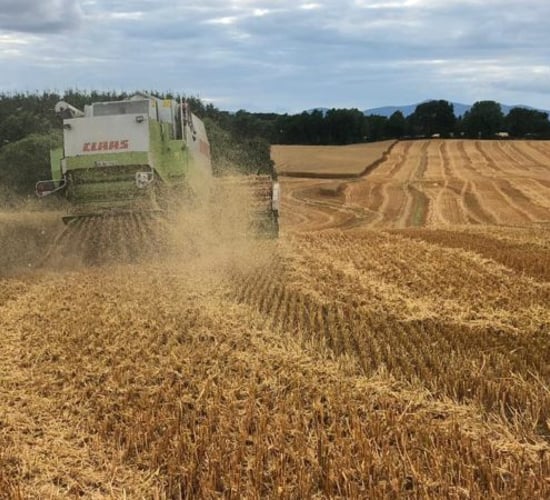 Straw to get the chop in tillage scheme