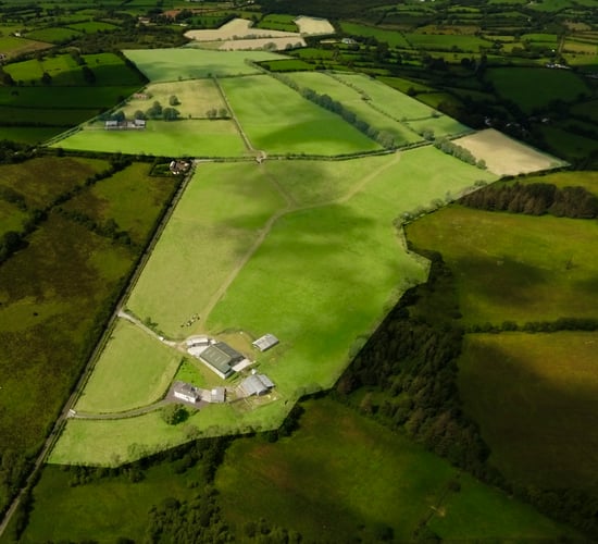 Fully developed dairy farm is 'cow ready' and 'needs very minimum investment'