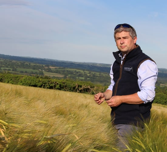 Getting more from your winter crops this autumn