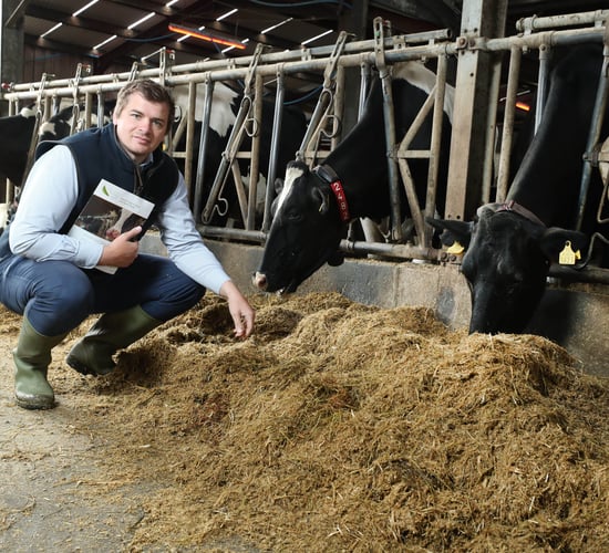 Buffer feeding the dairy cow: Know what you don't know