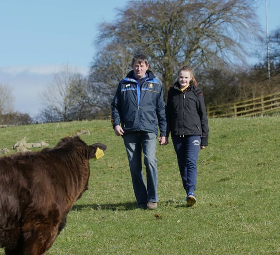 From Clare to Kigali: Flying in-calf heifers 7,000km to change lives