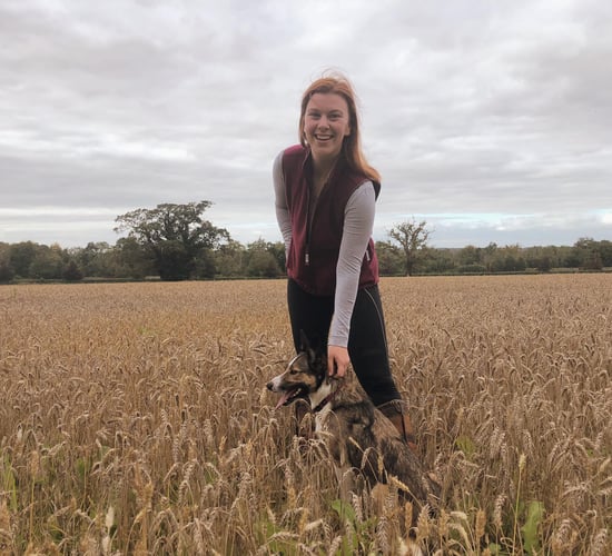 Kildare-based calf rearer makes magazine cover