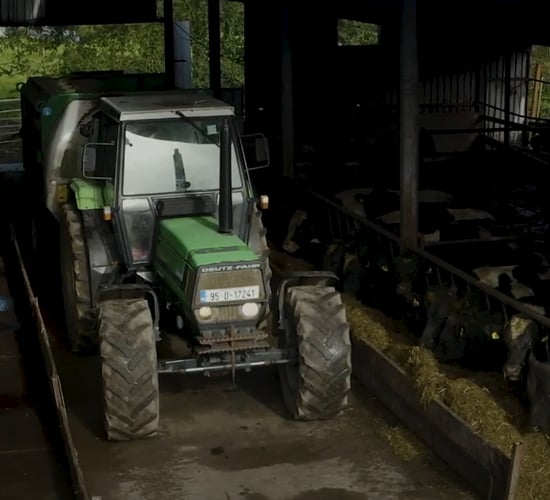 Virtual Teagasc Green Acres Calf to Beef Programme farm walk next Thursday