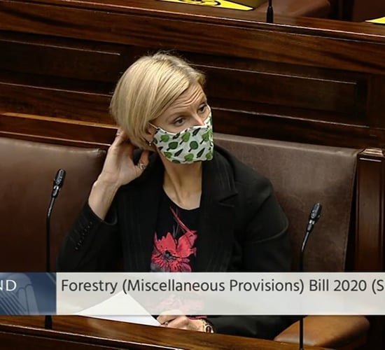 Forestry bill not being 'delivered in isolation' - Hackett