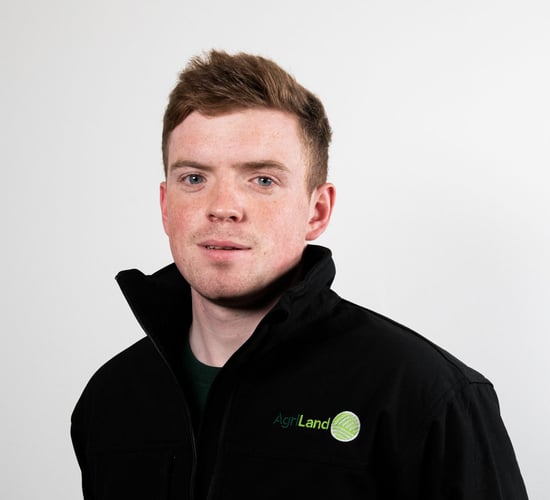 AgriLand appoints new beef specialist