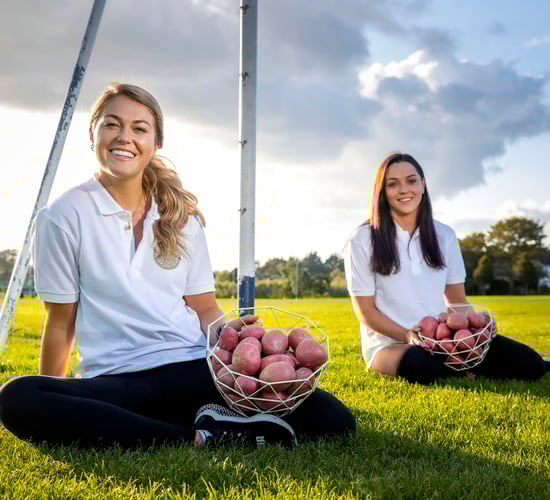 Irish potato sales increase by 24%