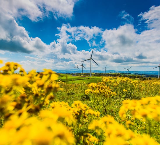 Irish Wind Energy Association rebrands as Wind Energy Ireland