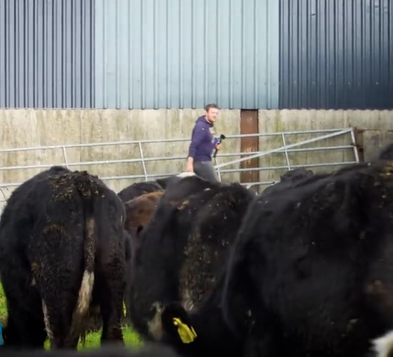 Herdwatch: Farmer Phil