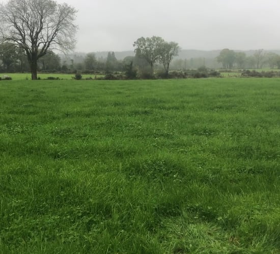 GrowthWatch: Making use of grass in challenging conditions