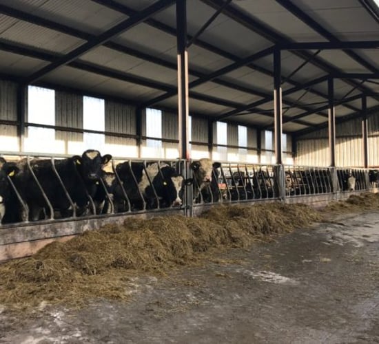 GrowthWatch: Grazing season draws to a close for heavier stock