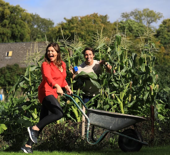 Bank of Ireland launches debit card made from corn