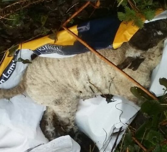 The 'depressing and exhausting' fight against illegal dumping in the countryside