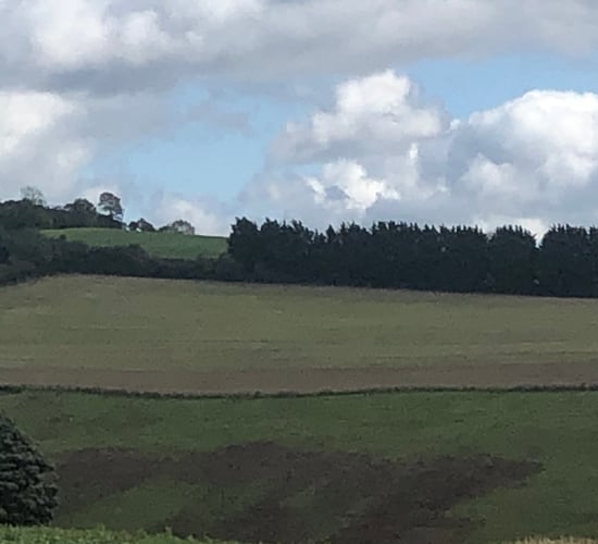 Choices aplenty as several plots of land for sale in Co. Kildare