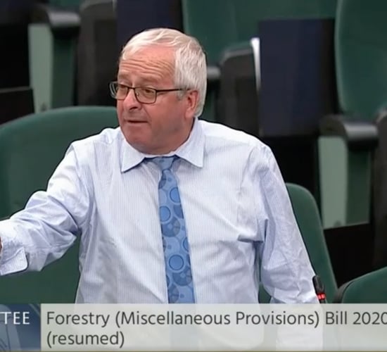 'We cannot sort out housing crisis if we have no timber to make roofs' - McGrath