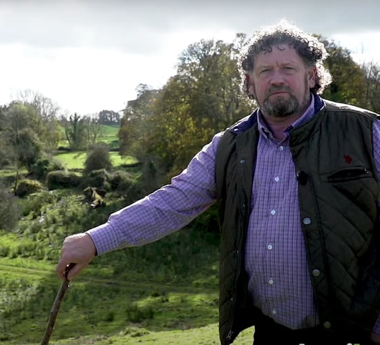 A farmer and his magical field: How fairies have 'kept the land sacred in Ireland'