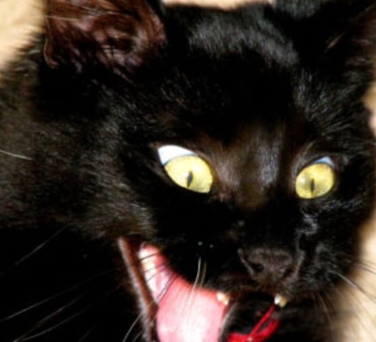 5 fearsome frights for farmers this Halloween