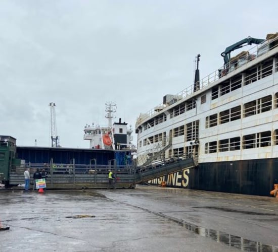 Last consignment of pedigree Angus heifers hit for Kazakhstan