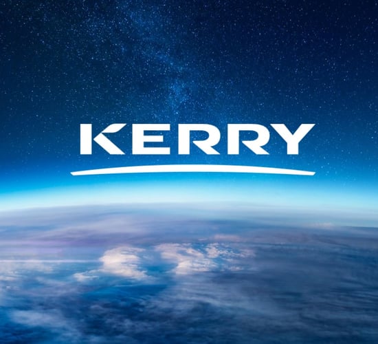 Kerry Group appoints CEO to Europe Taste & Nutrition division