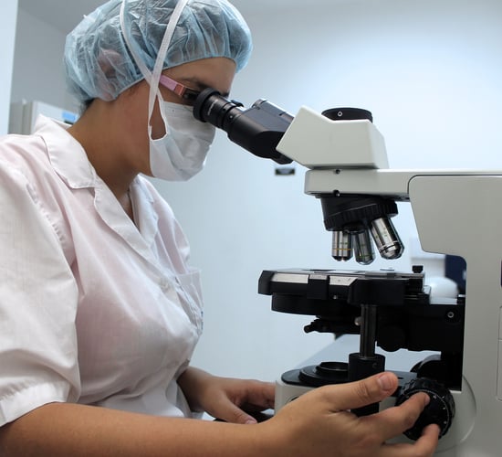 Veterinary council highlights hygiene protocols amid level 5 restrictions