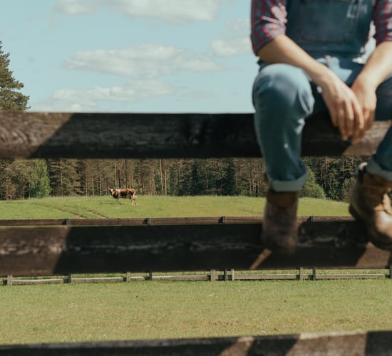 Agri committee chair: More funding needed for 'Forgotten Farmers'