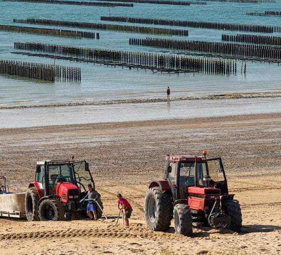 McConalogue announces details of aquaculture support scheme
