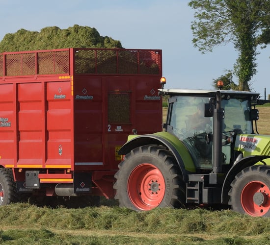 Over 69,000 farmers apply for Fodder Support Scheme