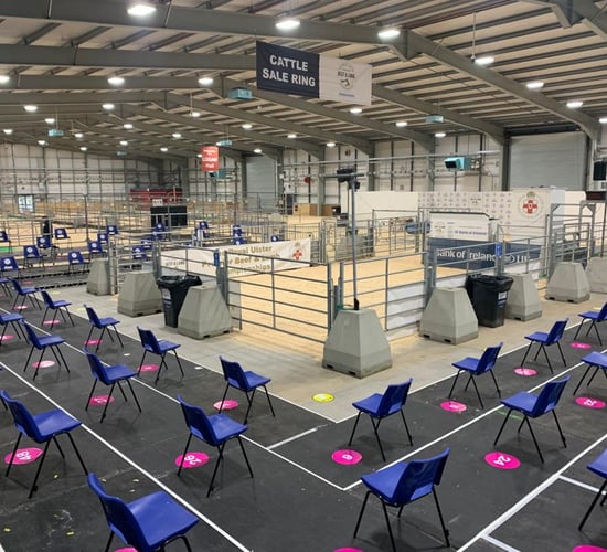 Spotted Dutch crosses carry the day at RUAS lamb championship