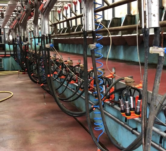 Kerry Dairy Ireland announces milk price for June