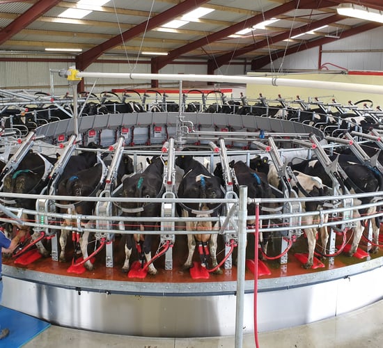 'Labour was hard to come by' - Why this dairy farmer went the 'rotary route'