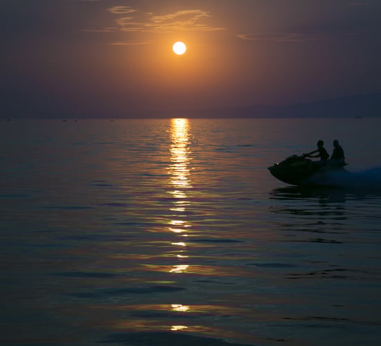'A cow was so panicked by jet skis on the lake that she threw a calf' - McNamara