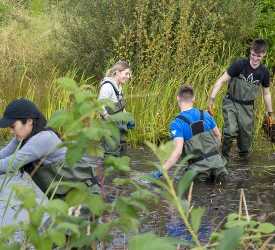 RSPB NI launches 5-point 'Green Recovery Plan' for Covid-19