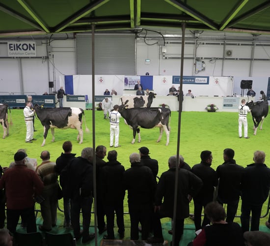 Winter Fair Online to reveal first 'Champion of the Decade'