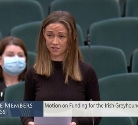 Social Democrats' bill to defund greyhound racing 'falls at the first hurdle'