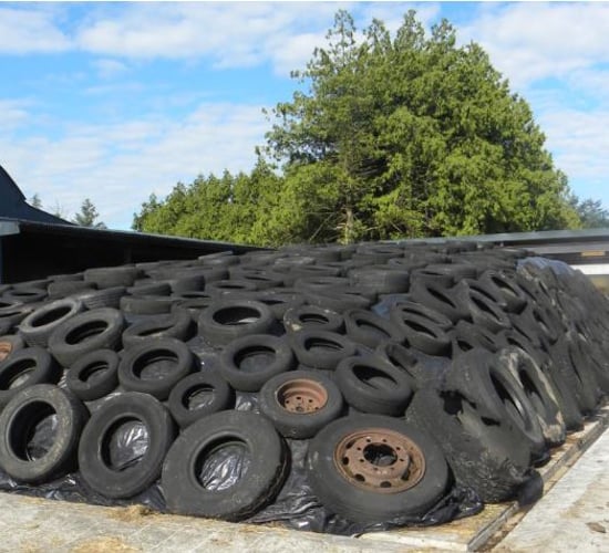 Reducing purchased concentrates with improved silage quality