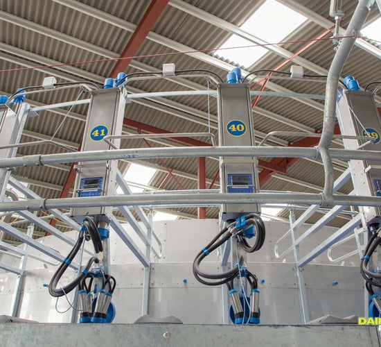 CEO of Dairymaster resigns and brother to replace him
