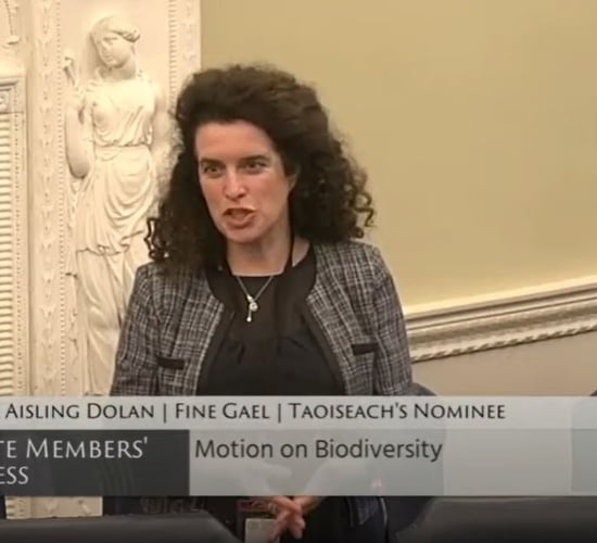 Local authorities need more funding to promote biodiversity - senator