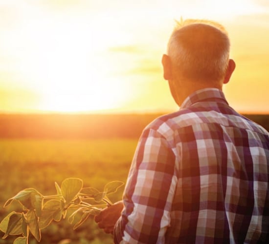 EirGrid voices support for Cullinan comments on farmers and energy